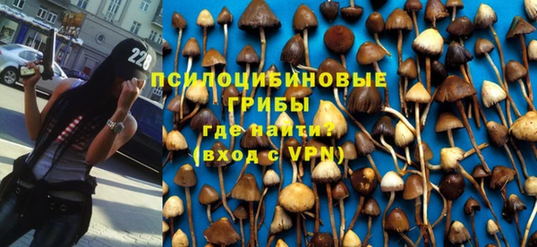 метамфетамин Алексин