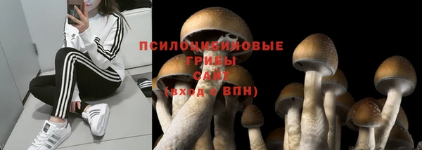 гашик Абдулино