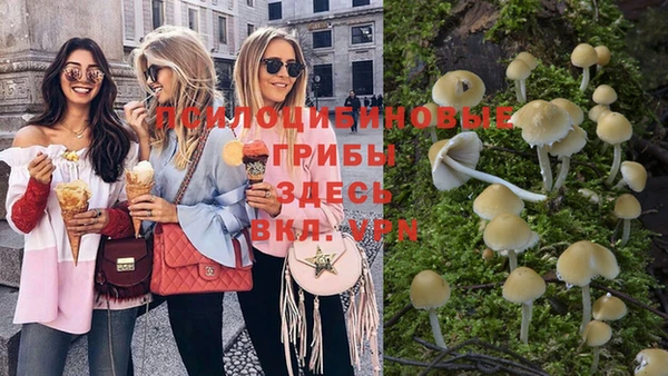 мдпв Нягань