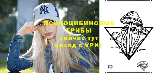 гашик Абдулино